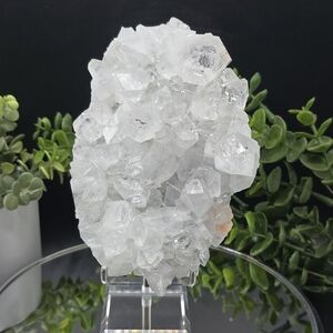Apophyllite India